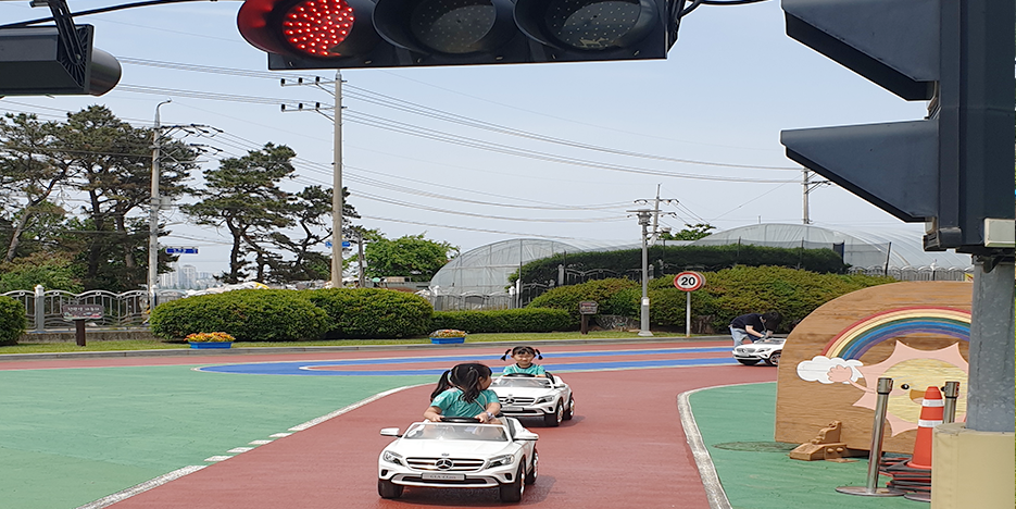 친환경 자동차